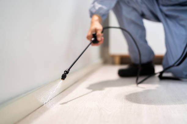 Licensed Termite Control service in Batesville, MS - Show Me Pest Control