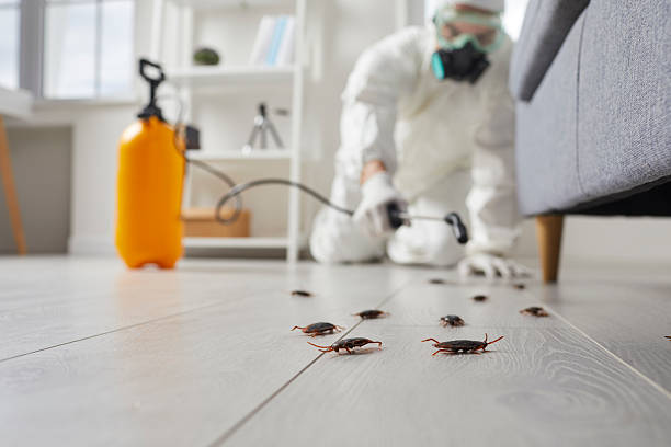 Commercial Kitchen Cockroach Control in Batesville